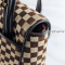 Louis Vuitton Damier Sauvage